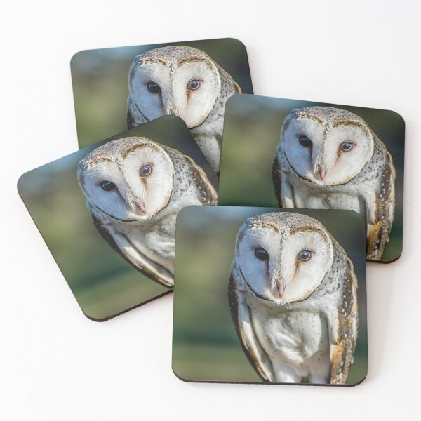 Item preview, Barn Owl designed and sold by Kathie Thomas.
