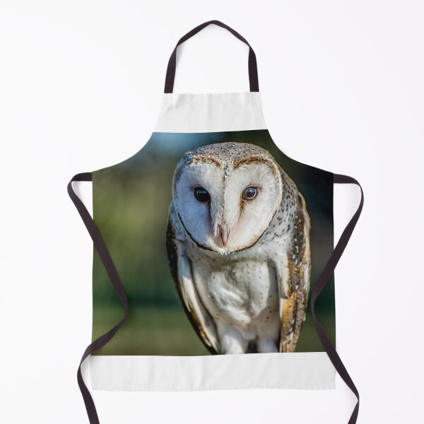Item preview, Barn Owl designed and sold by Kathie Thomas.
