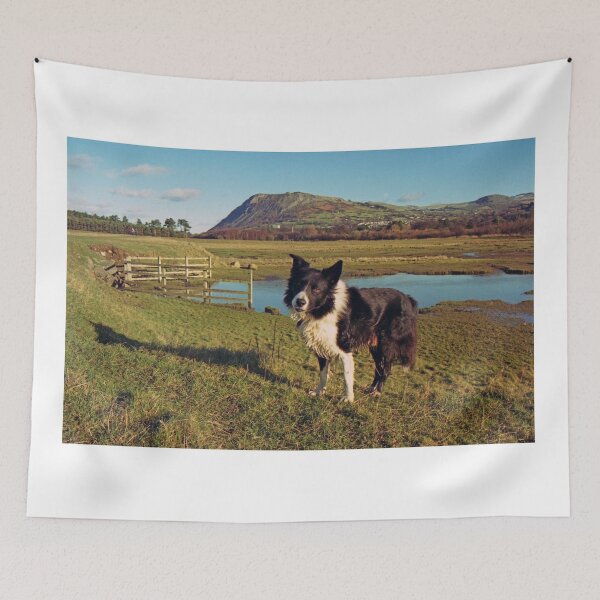 Item preview, Memories Never Fade. designed and sold by Michael Haslam.
