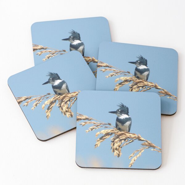 Item preview, Belted Kingfisher #001 designed and sold by Jeffrey Mask.