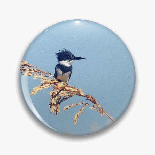 Item preview, Belted Kingfisher #003 designed and sold by Jeffrey Mask.