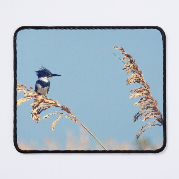 Item preview, Belted Kingfisher #003 designed and sold by Jeffrey Mask.