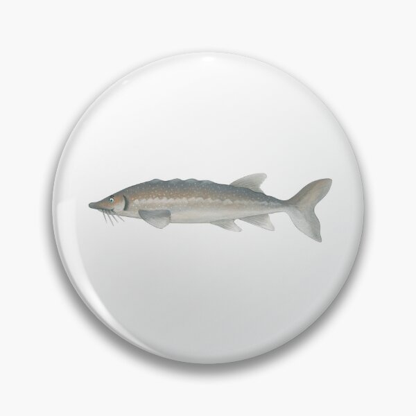 Item preview, sturgeon designed and sold by Corinna Arauner.