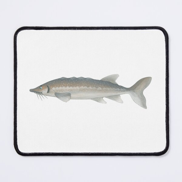 Item preview, sturgeon designed and sold by Corinna Arauner.