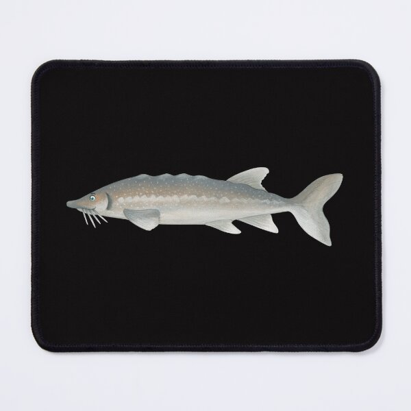 Item preview, sturgeon designed and sold by Corinna Arauner.