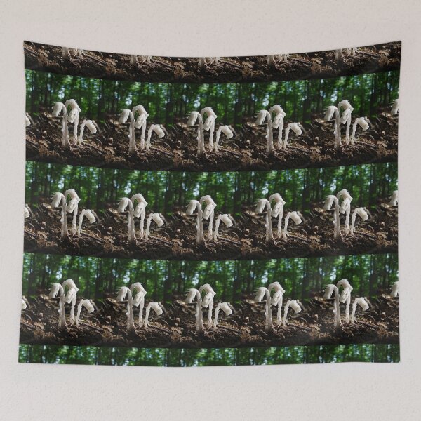 Item preview, Indian Pipes In The Forest designed and sold by Jean Gregory Evans.