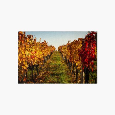 Item preview, Autumn grapevines in the rows designed and sold by Gábor Müller.