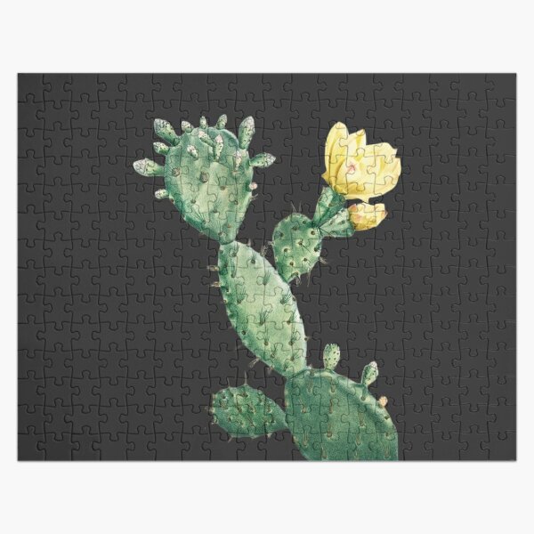  Cactus With Yellow Flowers.Dark Background Jigsaw Puzzle