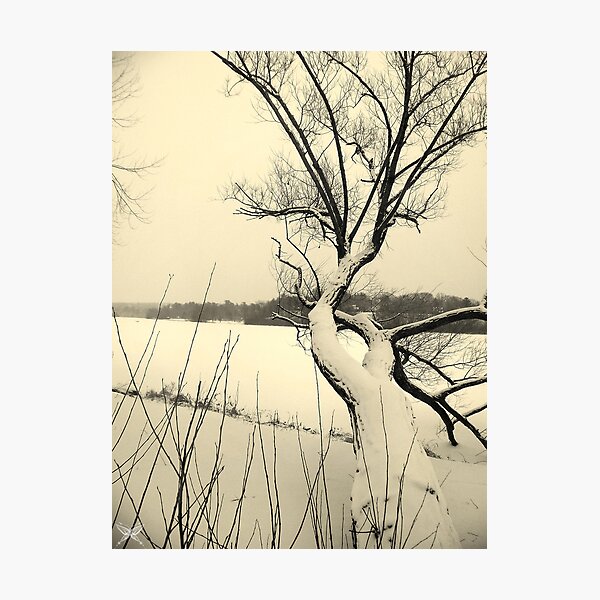Item preview, Overlooking the River designed and sold by Amanda McGreck.