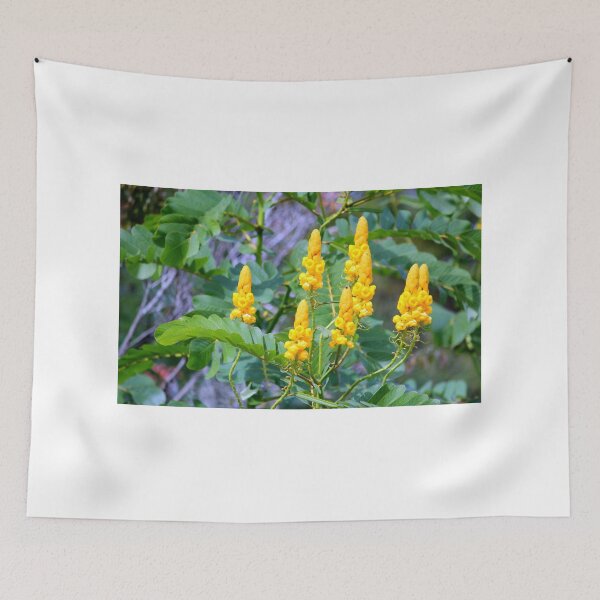 Item preview, Popcorn Cassia designed and sold by Cynthia48.