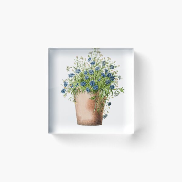 Blue Flowers Vase Acrylic Block