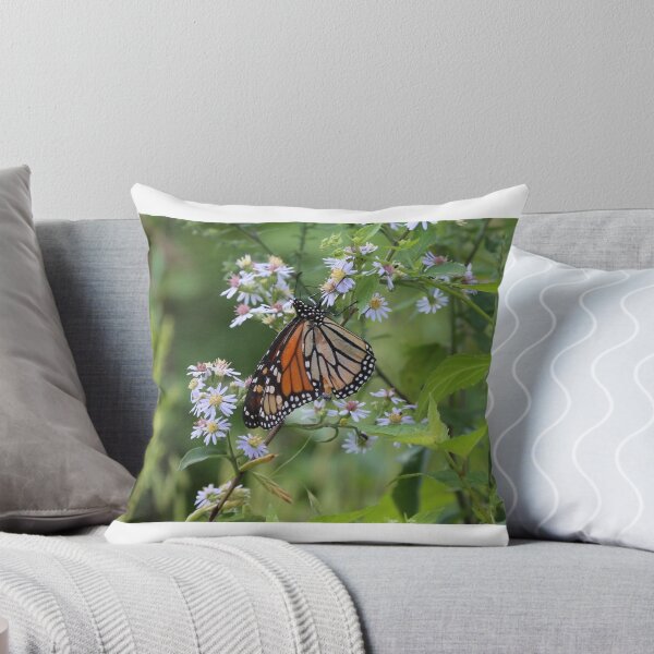 Aperçu de l'œuvre Summer Butterfly créée et vendue par mvpaskvan.