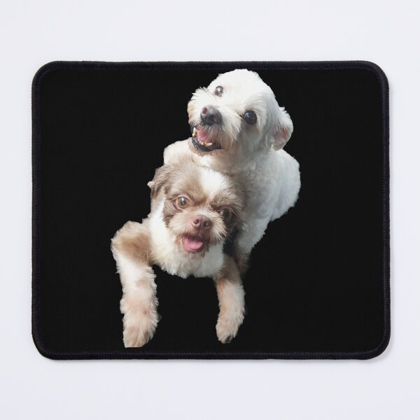 Item preview, DOG LOVE SHIH TZU AND MALTESE designed and sold by koreanbug.