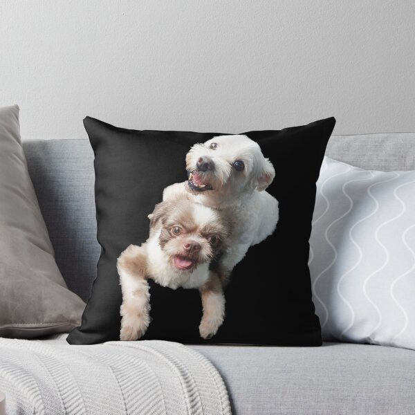 Item preview, DOG LOVE SHIH TZU AND MALTESE designed and sold by koreanbug.