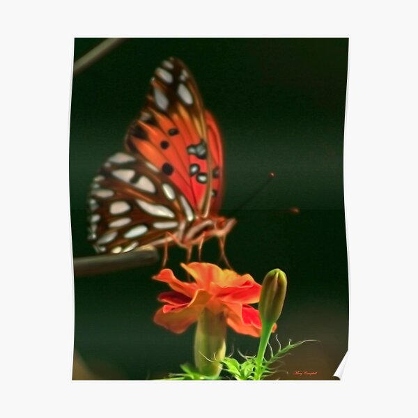Soft Winged Flutter By Poster