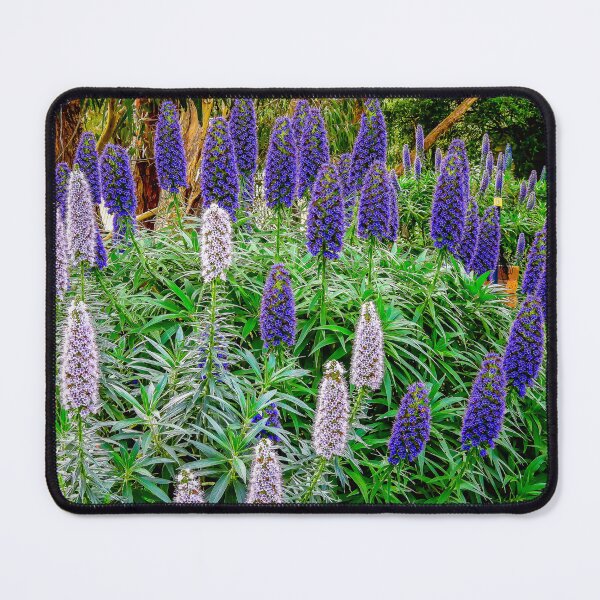 Item preview, Echium colour purple designed and sold by Kathie Thomas.