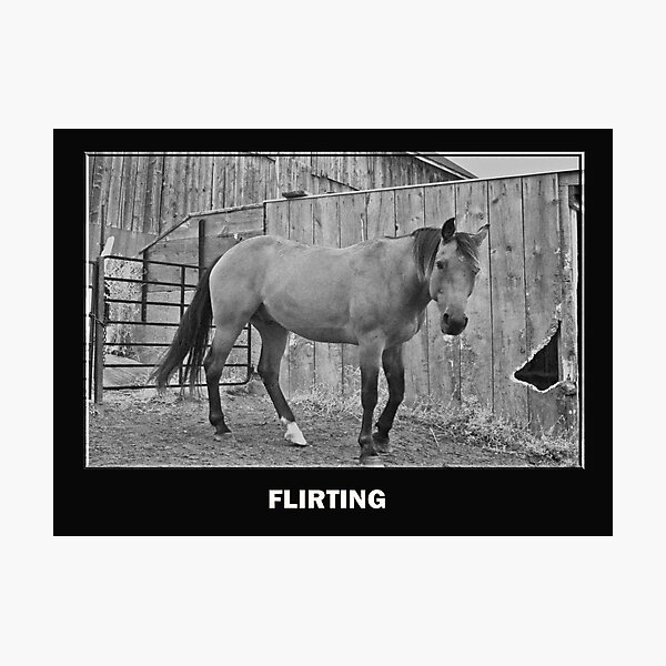 Flirting Photographic Print