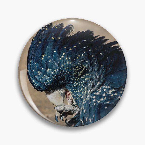 Item preview, Red tailed black cockatoo designed and sold by PVphotography.