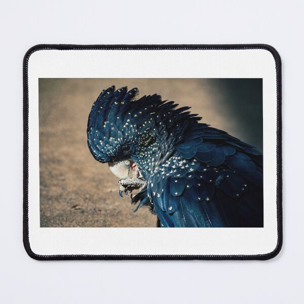 Item preview, Red tailed black cockatoo designed and sold by PVphotography.