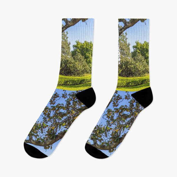 Item preview, USA. Louisiana. Baton Rouge. Tower of State Capitol Building. designed and sold by vadim19.