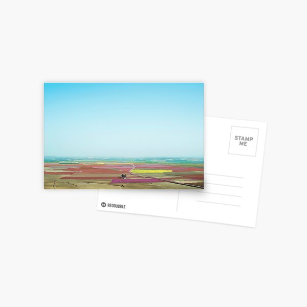 Dreamland Postcard