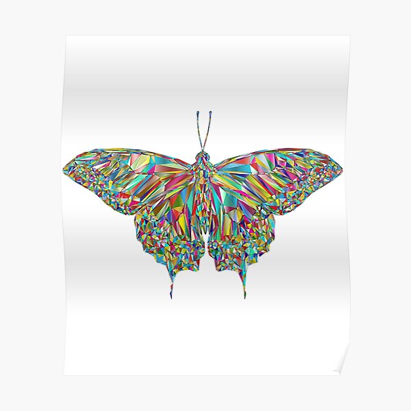 Beautiful Multi-Colored Butterfly Design Poster