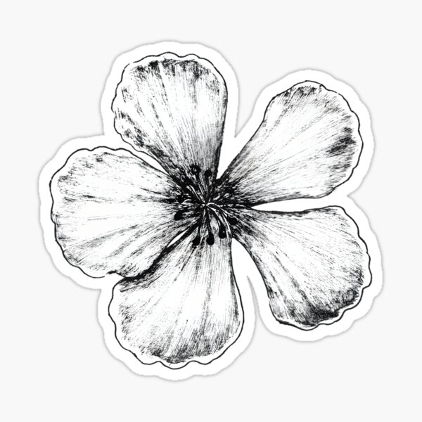 "Black & White Sakura Flower Japandi Classic " Sticker for Sale by