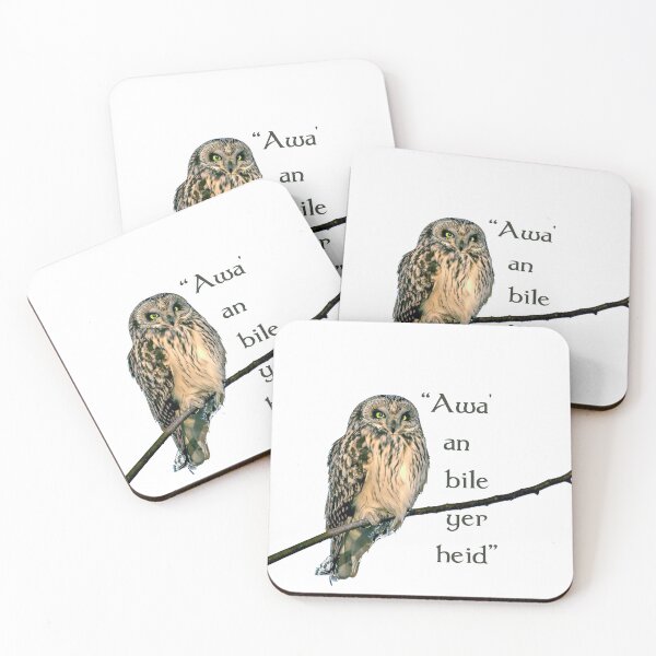 Item preview, Owl on branch with "Awa' an bile yer heid" Scottish phrase. White background. designed and sold by janesg.