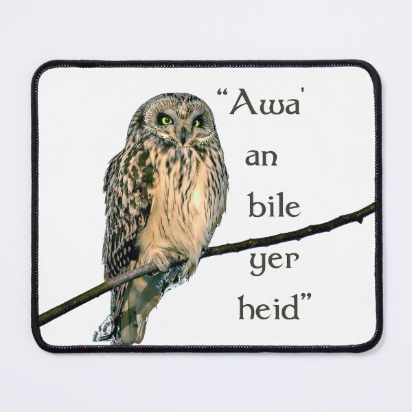 Item preview, Owl on branch with "Awa' an bile yer heid" Scottish phrase. White background. designed and sold by janesg.