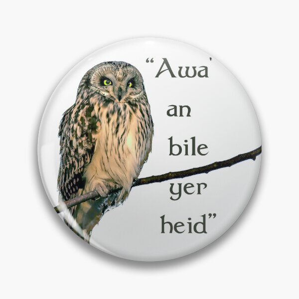 Item preview, Owl on branch with "Awa' an bile yer heid" Scottish phrase. White background. designed and sold by janesg.