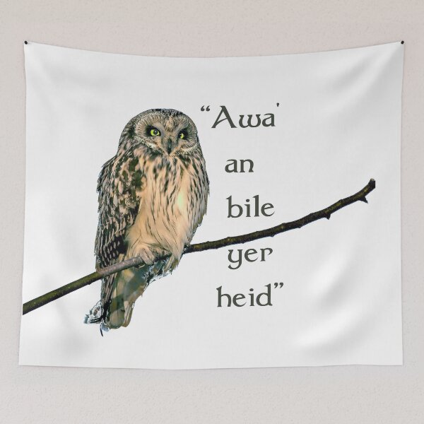 Item preview, Owl on branch with "Awa' an bile yer heid" Scottish phrase. White background. designed and sold by janesg.