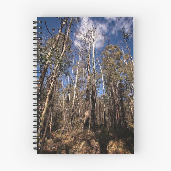 Item preview, Hanging Rock @ Tidbinbilla/ACT/Australia (1) designed and sold by Wolf Sverak Photography.
