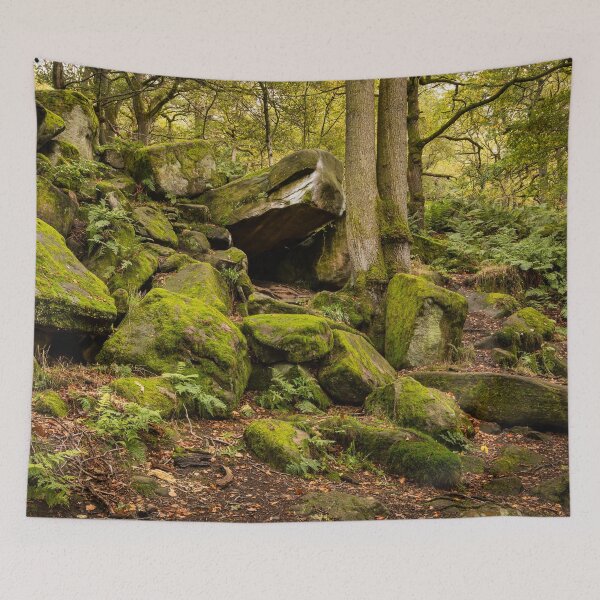 Artikelvorschau, Padley-Schlucht-Felsen entworfen und verkauft von Dave Hare Photography.