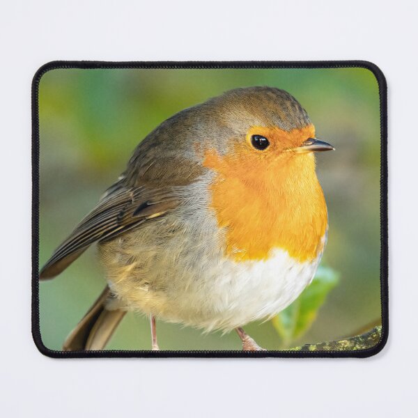 Item preview, European Robin designed and sold by Ian Lane.