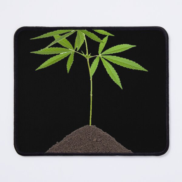 Item preview, Medical cannabis Tetrahydrocannabinol designed and sold by gluchcossaiz.