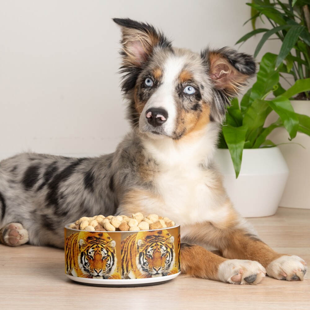 Item preview, Pet Bowl designed and sold by ErikaKaisersot.
