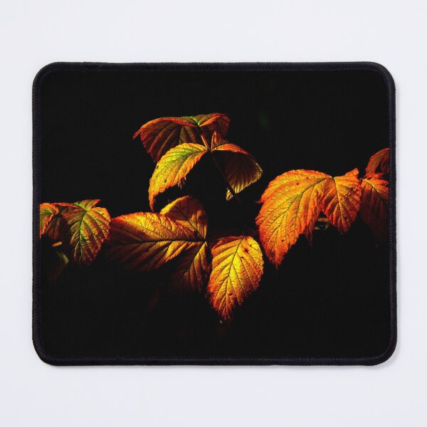 Item preview, Automn Leaves Failling, Beautiful Home Decor, Living Room Decor designed and sold by Ivan333Croatia.