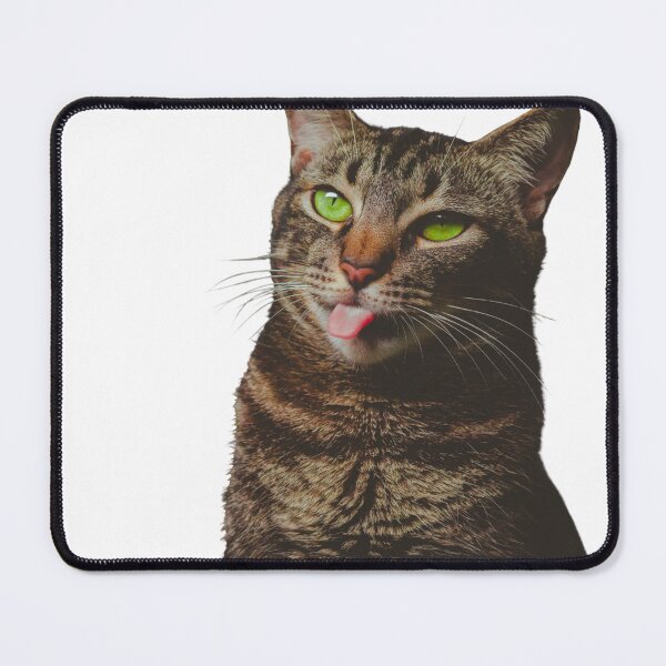 Item preview, Funny Cats, Lovly Cats designed and sold by Sanabelaa.