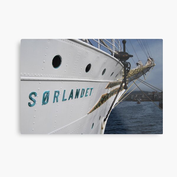 norwegian wonder Metal Print