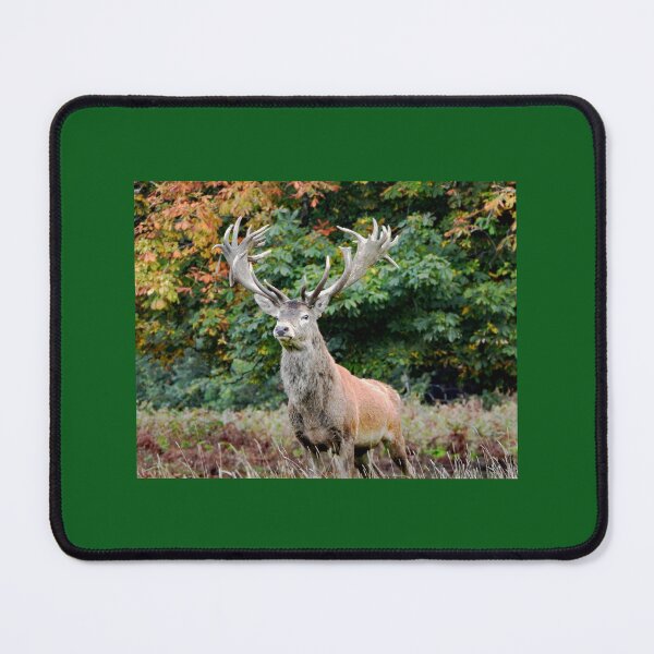 Item preview, A Gorgeous Red Stag designed and sold by Karen Thomson.