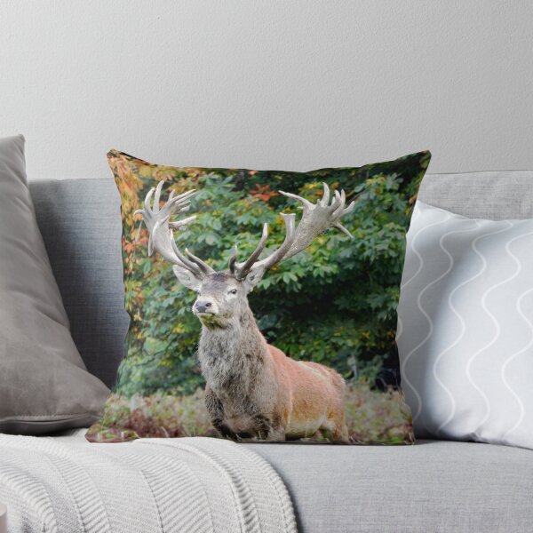 Item preview, A Gorgeous Red Stag designed and sold by Karen Thomson.