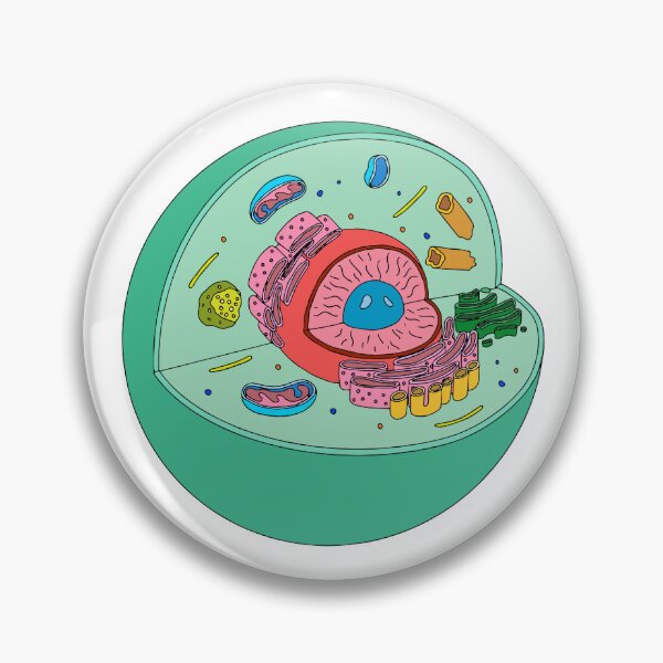 Item preview, Animal cell illustration designed and sold by bluebubbleberry.