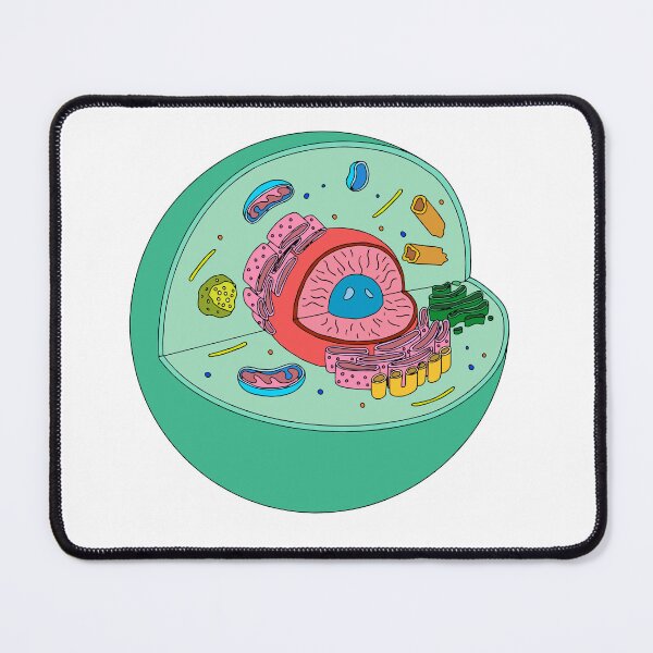 Item preview, Animal cell illustration designed and sold by bluebubbleberry.