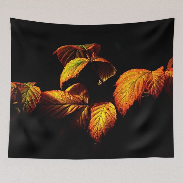 Item preview, Red and Orange Automn Leaves Failling, Black Background, Beautiful Home Decor, Living Room Decor designed and sold by Ivan333Croatia.