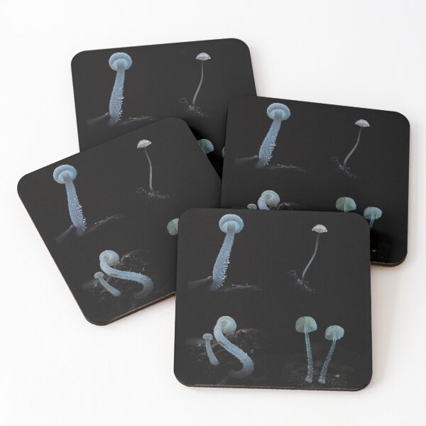 Item preview, Mycena Mushroom Collection designed and sold by Ryan Dale.