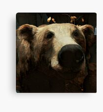 Bear Canvas Print