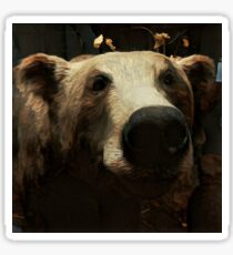 Bear Sticker