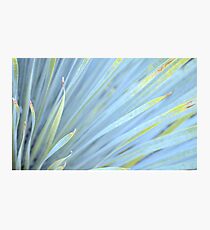 Blur... Photographic Print