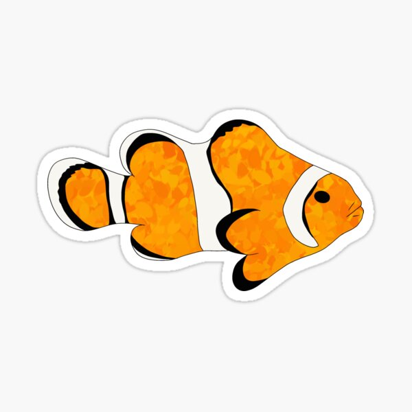 Item preview, Clownfish designed and sold by curiocabinets.