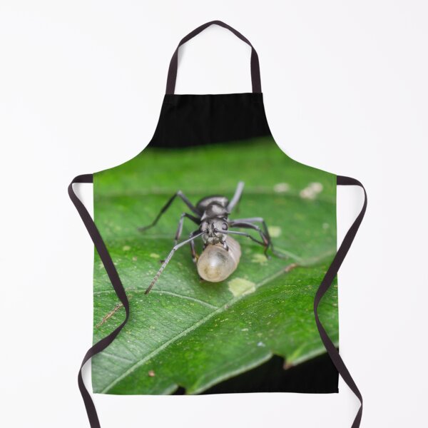 Item preview, An ant with a brood designed and sold by AvonPerception.